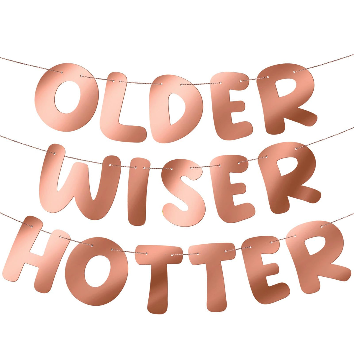 Older Wiser Hotter Glitter Birthday Banner