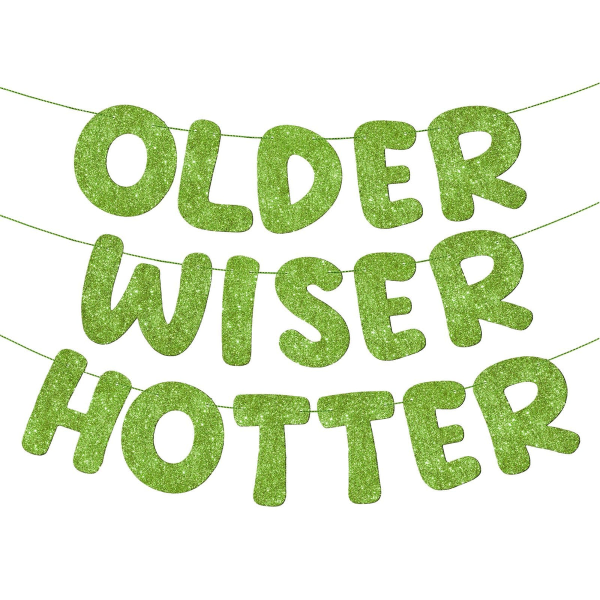 Older Wiser Hotter Glitter Birthday Banner