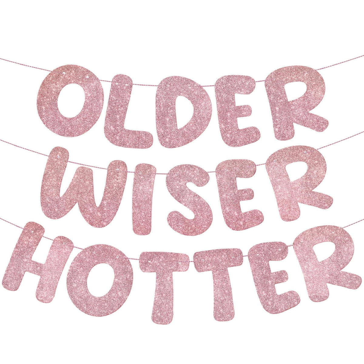 Older Wiser Hotter Glitter Birthday Banner