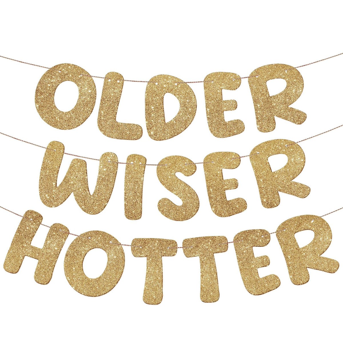 Older Wiser Hotter Glitter Birthday Banner