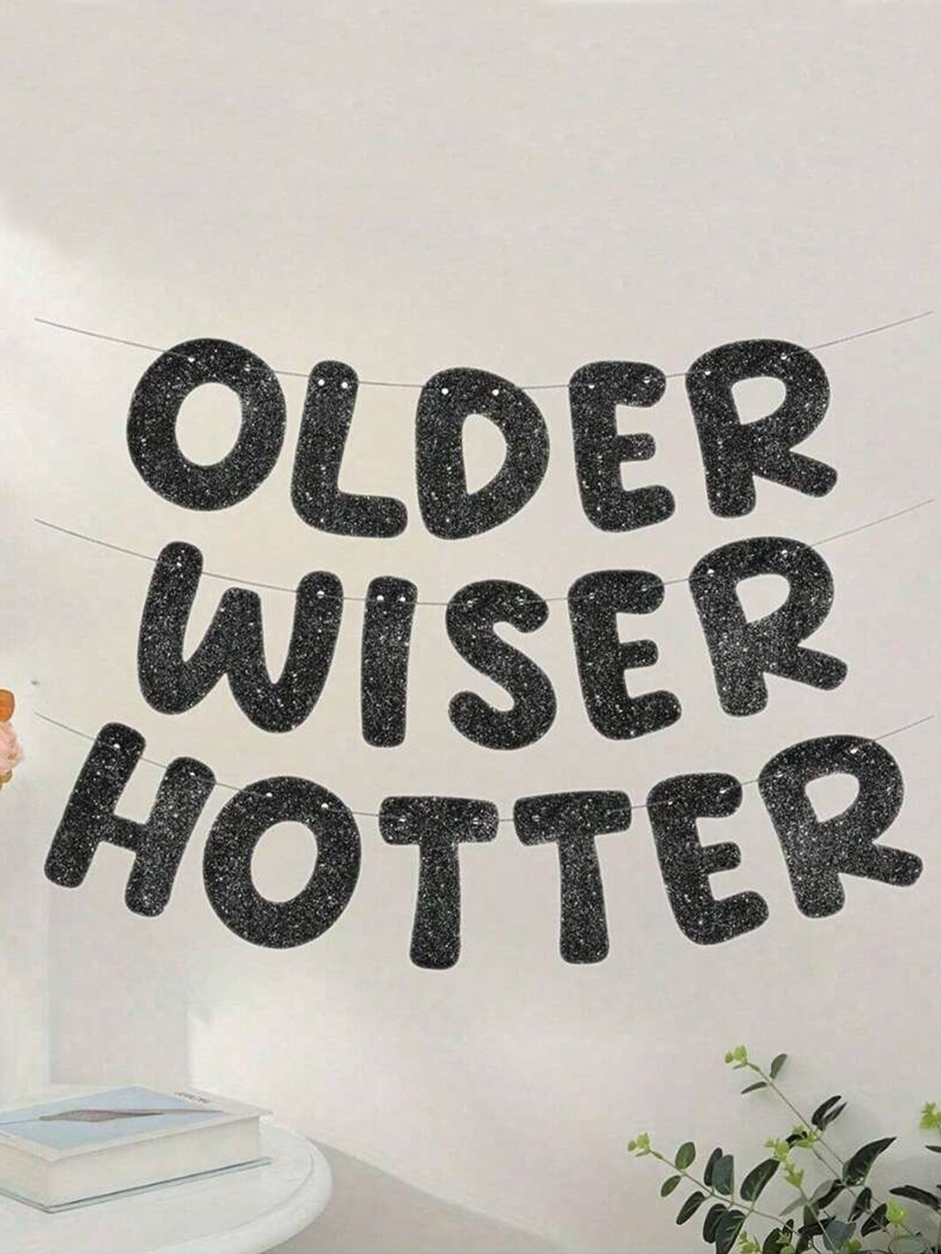 Older Wiser Hotter Pre-Strung Glitter Happy Birthday Banner Birthday Sign NO DIY